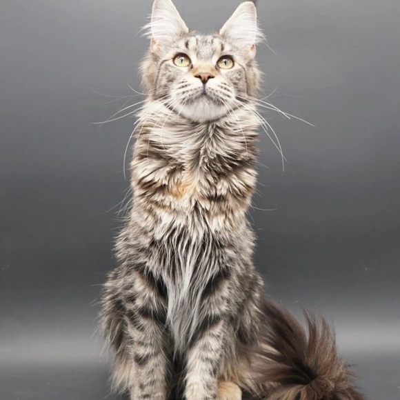 Meet your Posher, Adrienne (but please, call me Renn.) - Picture 4 of 7